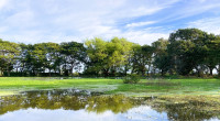 Zacateligue River Mouth and Wetland